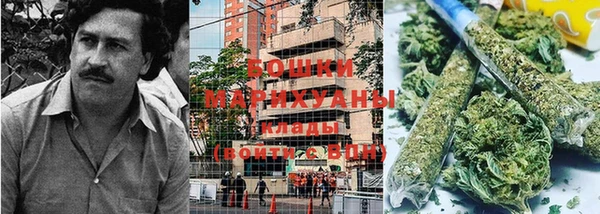 гидра Алзамай