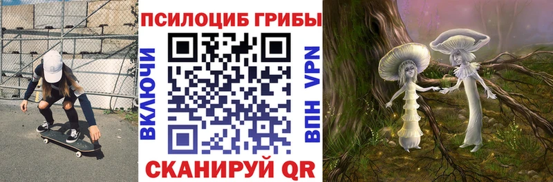 Галлюциногенные грибы MAGIC MUSHROOMS Новая Ладога