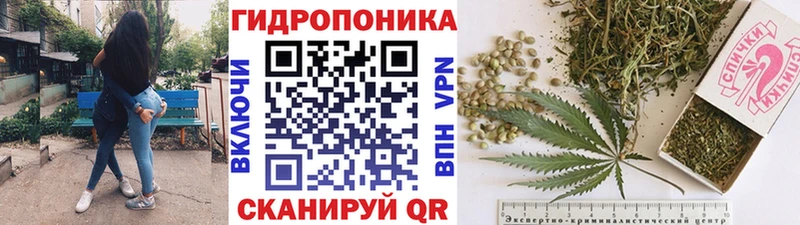 Конопля индика Новая Ладога